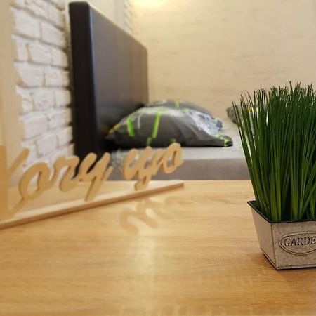 New Luxury Studio Apartment Ivano-Frankivsk Exterior foto